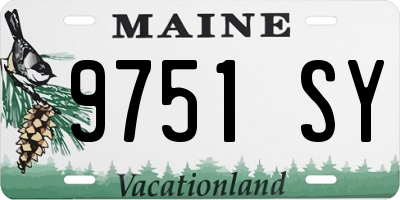 ME license plate 9751SY