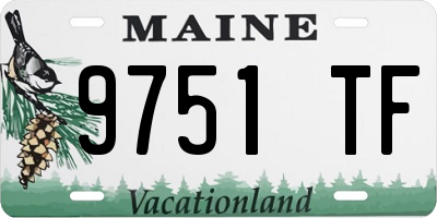 ME license plate 9751TF