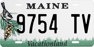 ME license plate 9754TV