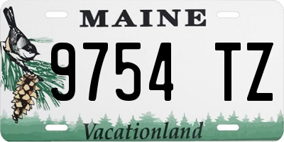 ME license plate 9754TZ