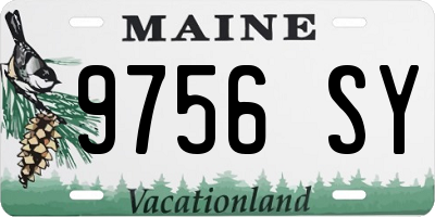 ME license plate 9756SY