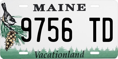 ME license plate 9756TD