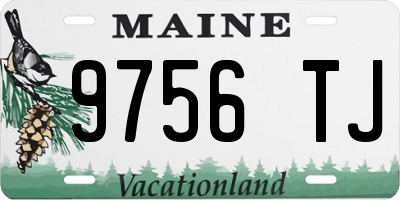 ME license plate 9756TJ