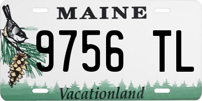 ME license plate 9756TL