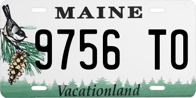 ME license plate 9756TO