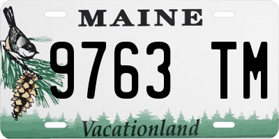 ME license plate 9763TM