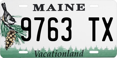 ME license plate 9763TX