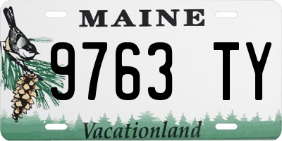 ME license plate 9763TY