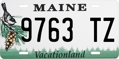 ME license plate 9763TZ