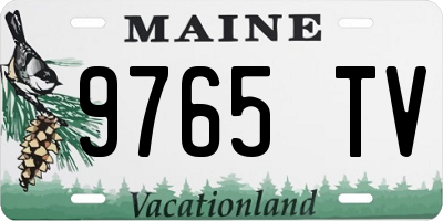 ME license plate 9765TV