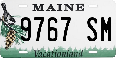 ME license plate 9767SM
