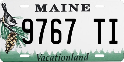 ME license plate 9767TI