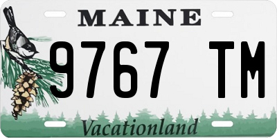ME license plate 9767TM