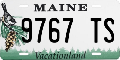 ME license plate 9767TS