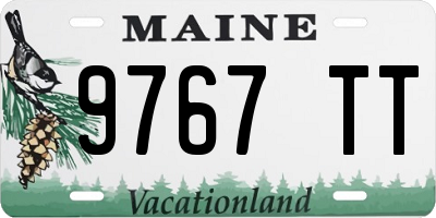 ME license plate 9767TT