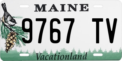 ME license plate 9767TV