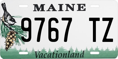 ME license plate 9767TZ