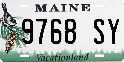 ME license plate 9768SY