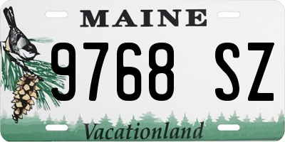 ME license plate 9768SZ