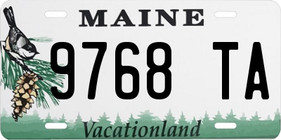 ME license plate 9768TA