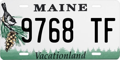ME license plate 9768TF