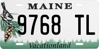 ME license plate 9768TL