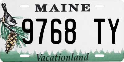 ME license plate 9768TY