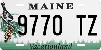 ME license plate 9770TZ