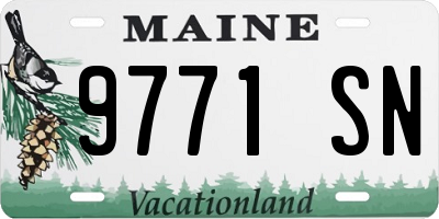 ME license plate 9771SN