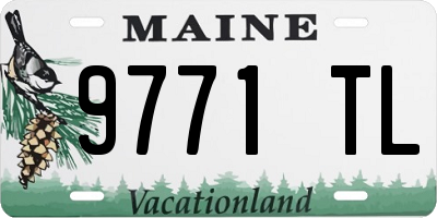 ME license plate 9771TL