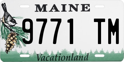 ME license plate 9771TM