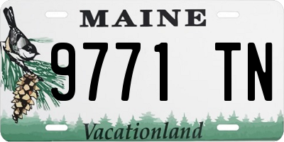 ME license plate 9771TN