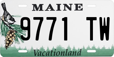 ME license plate 9771TW