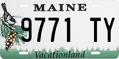 ME license plate 9771TY