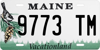 ME license plate 9773TM