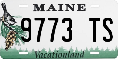 ME license plate 9773TS
