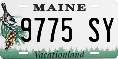 ME license plate 9775SY