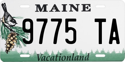ME license plate 9775TA