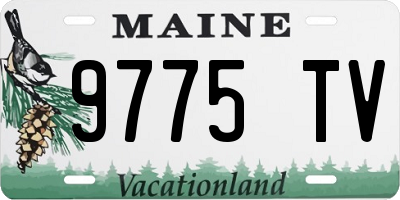 ME license plate 9775TV
