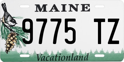ME license plate 9775TZ