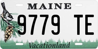 ME license plate 9779TE