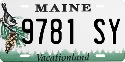 ME license plate 9781SY