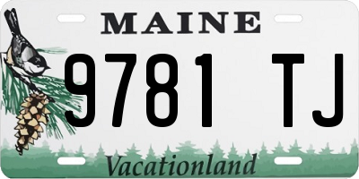 ME license plate 9781TJ