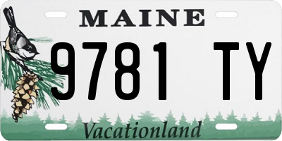 ME license plate 9781TY