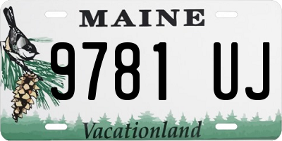 ME license plate 9781UJ