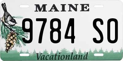ME license plate 9784SO