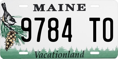 ME license plate 9784TO