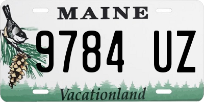ME license plate 9784UZ