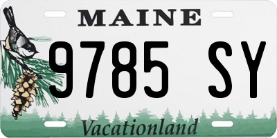 ME license plate 9785SY