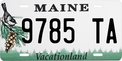 ME license plate 9785TA
